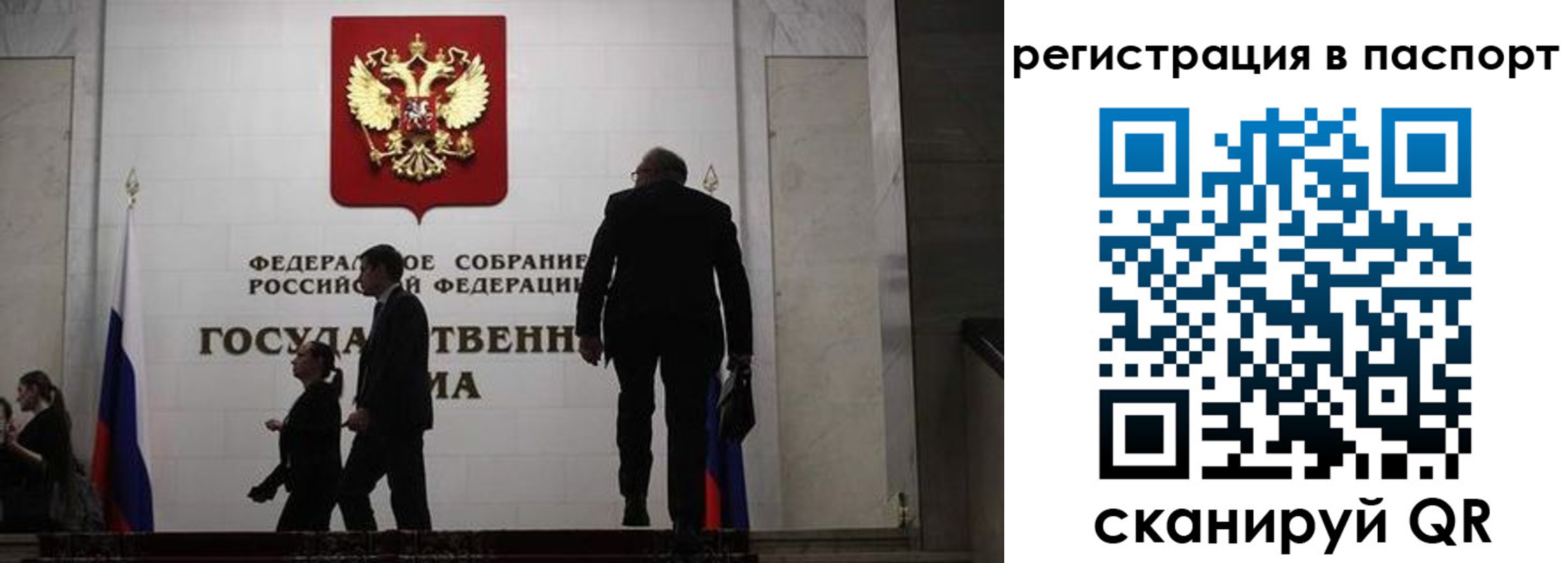 прописка для работы в Невеле